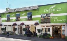 Organico