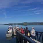 Whiddy Island Ferry