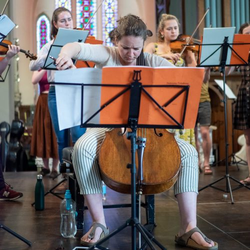 Laura van der Heijden and Festival Strings