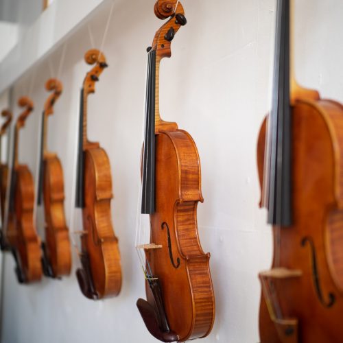 Violins