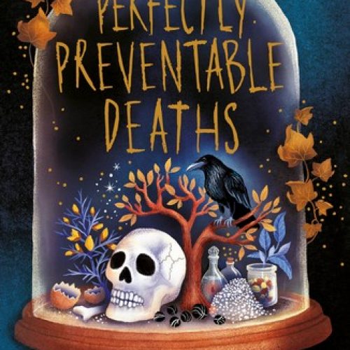 Perfectly Preventable Deaths cover – Deirdre Sullivan