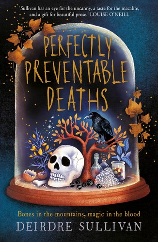 Perfectly Preventable Deaths cover - Deirdre Sullivan