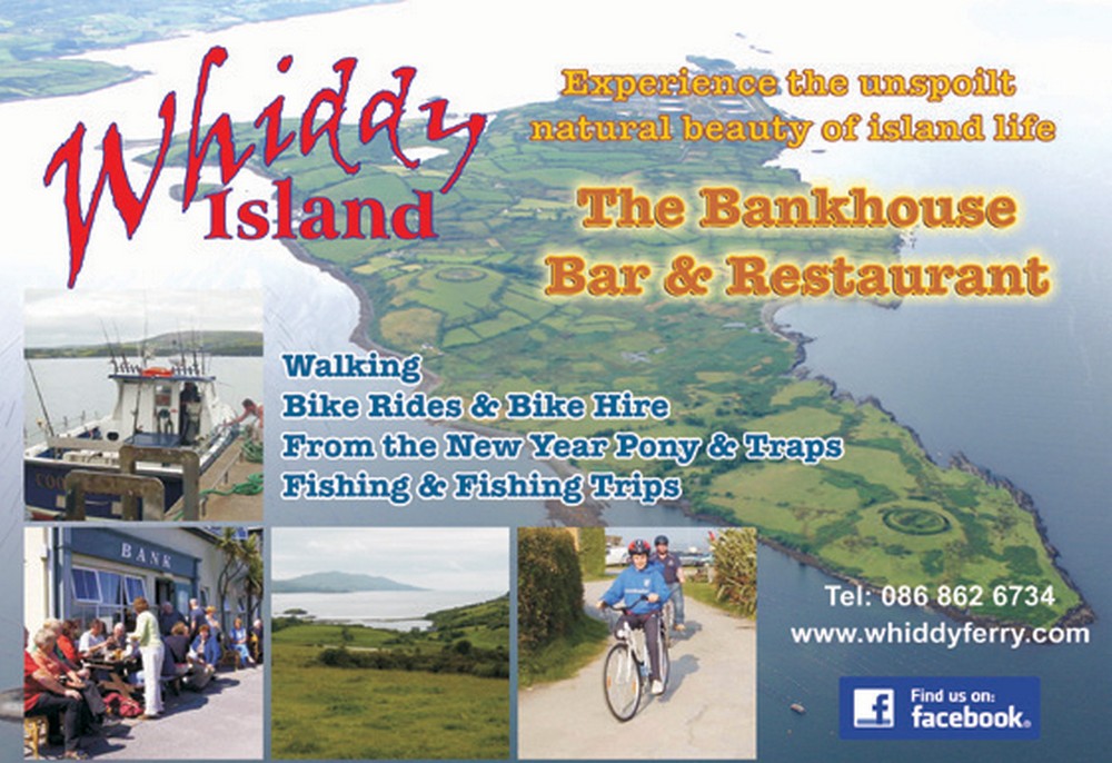 Whiddy Island LF 2019 Ad