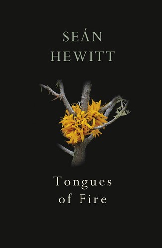 Sean Hewitt Tongues of Fire Cover