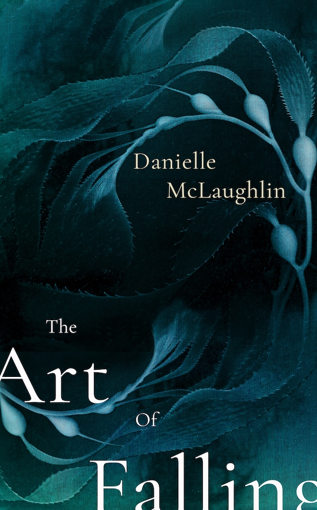 Danielle McLaughlin book cover