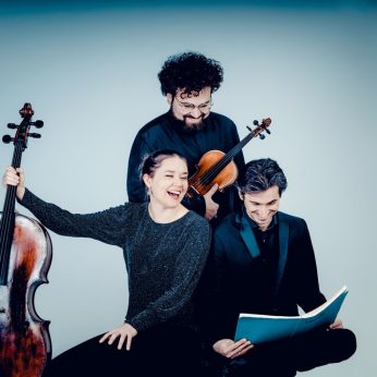 Piano Trio in G minor Op.15