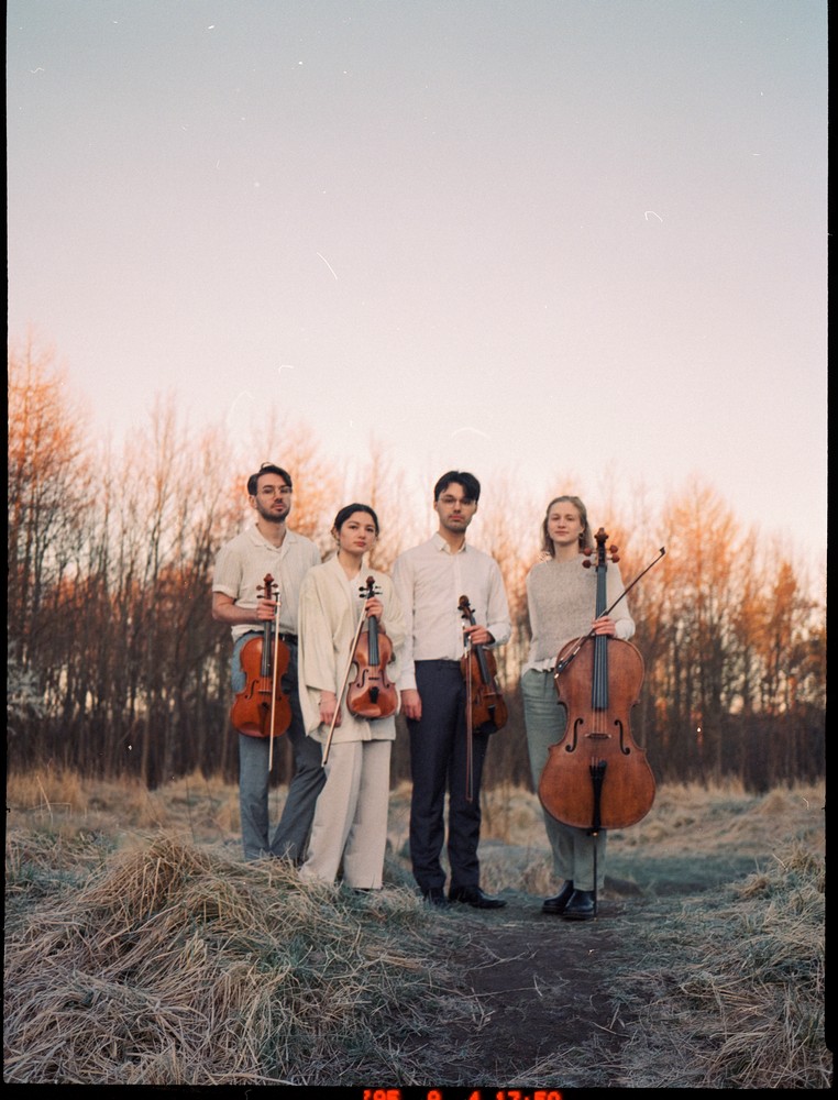 NOVO Quartet by Rita Kuhlmann 1