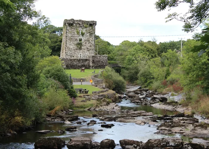 Carriganass Castle Kealkill
