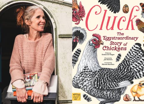 Cluck, The Eggstraordinary Story of Chickens: Evelien De Vlieger