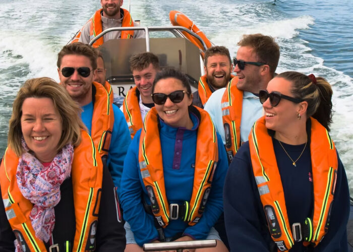 Bantry bay sea safari